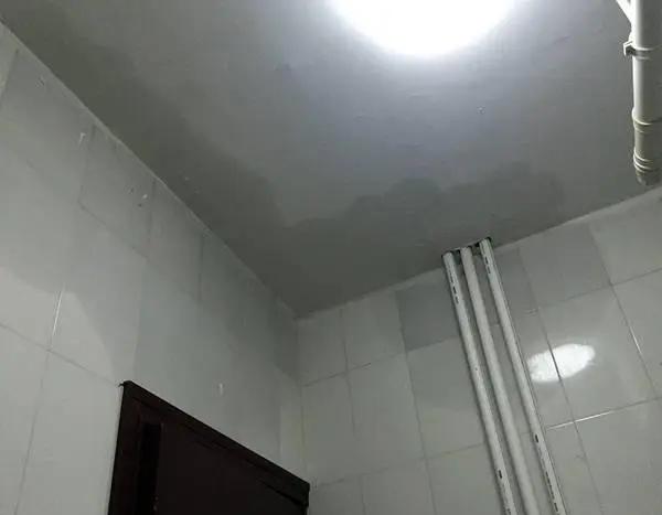 水管隐藏在卧室与卫生间共用墙壁内造成漏水该由谁负责？